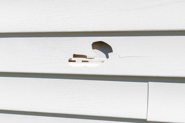 Best Siding Painting and Refinishing  in Boswell, PA